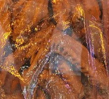 Duck Wings
