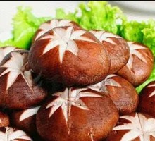 Shiitake Mushroom