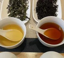 White Tea Tasting