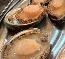 Fresh Abalone