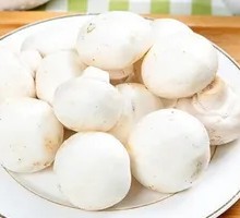 King Oyster Mushroom