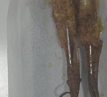 烤鸭舌