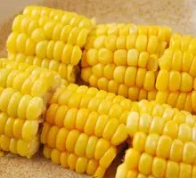 Grilled Corn