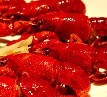 Large Lobster