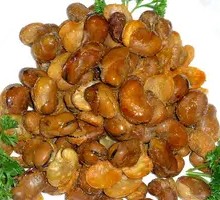 Orchid Beans