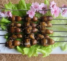 Roasted Cicada