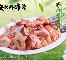 Free-range chicken