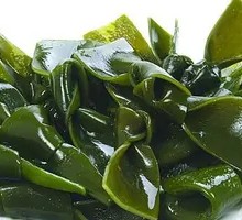 Kelp