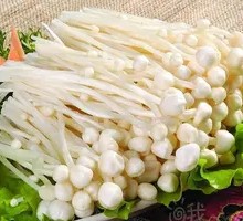 Enoki Mushroom
