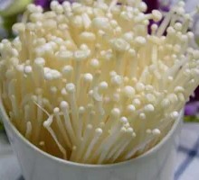 Enoki Mushroom