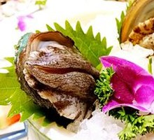 Baby Abalone