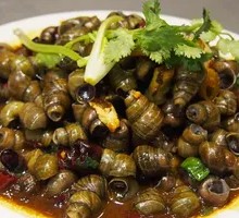 Spicy Snail Special
