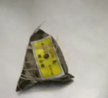Meat Zongzi