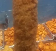 Handmade Chicken Strips