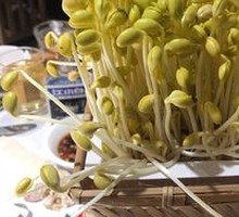 Well Water Bean Sprouts