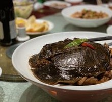 Braised Free-Range Softshell Turtle