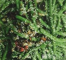 Dry-Fried Green Beans
