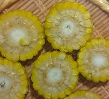 Northeast Corn