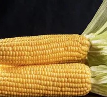 Corn Side Dish