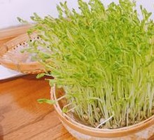 Pea Shoots