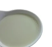 Black Soybean Soy Milk