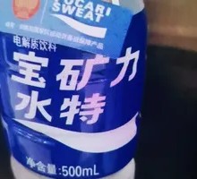 宝矿力水特