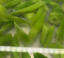 Bamboo Shoot Tips