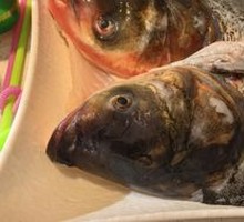 Whole Fish Head