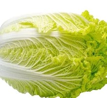 Chinese cabbage