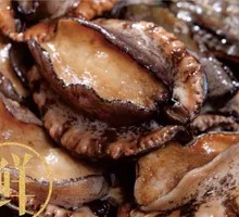 Classic Fresh Sea Abalone