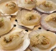 Scallop