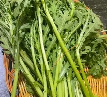 Chinese chrysanthemum greens
