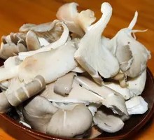 Wild Mushroom