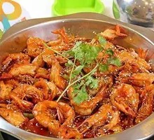 Champion Shrimp Pot
