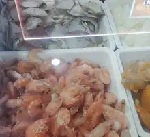 Red Shrimp