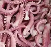 Squid