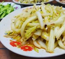 Golden Edge Cabbage
