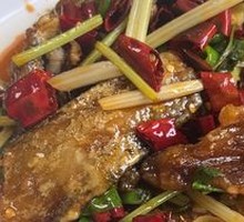 Mother's Eel Fish