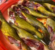 Yellow Croaker