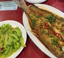 Crucian Carp