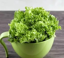 Lettuce for Grilled Meat