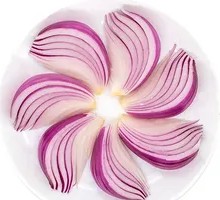 Purple Onion