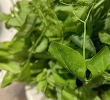 Pea Pod