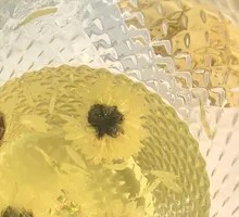 Chrysanthemum Tea