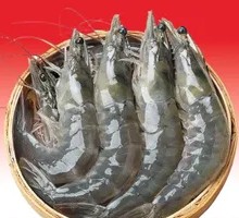Butterfly Shrimp