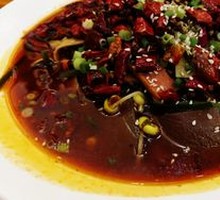 Premium Maoxuewang