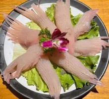 Rocket Squid