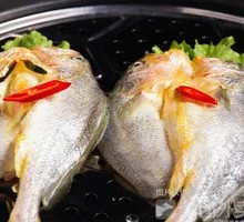 Yellow Croaker