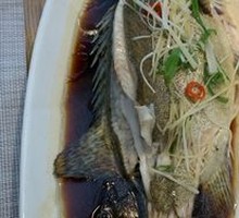Fresh Mandarin Fish