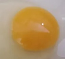 Fresh Egg